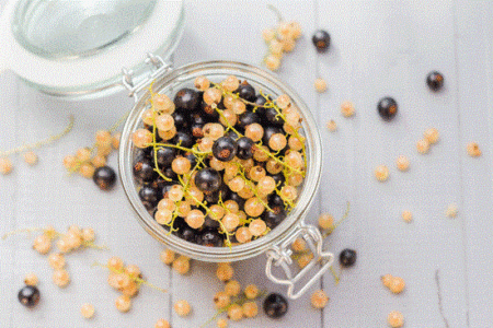 Rare Fruits: Pawpas to Wineberries Image
